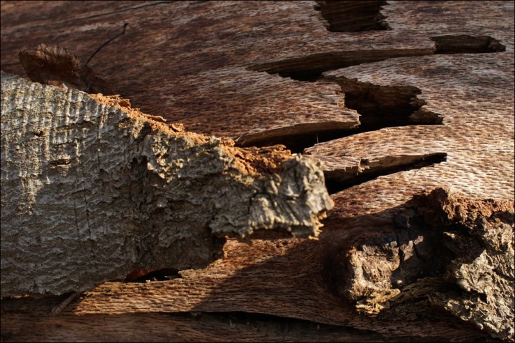 holz-03